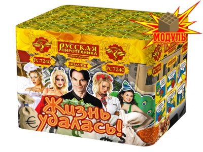 Жизнь удалась Фейерверк купить в Чехове | chekhov.salutsklad.ru