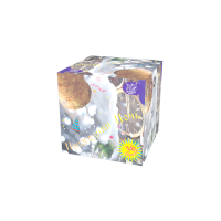 Новогодняя ночь Салют купить в Чехове | chekhov.salutsklad.ru