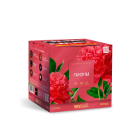 Пионы Салют купить в Чехове | chekhov.salutsklad.ru