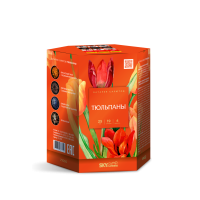 Тюльпаны Салют купить в Чехове | chekhov.salutsklad.ru